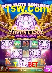 Experiência VIP T111 Bet